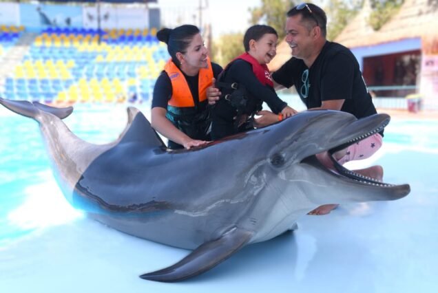 Swming  with dollphine 30 min