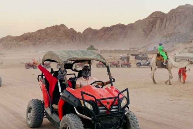 Safari car bage With camel